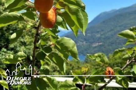 Villa di lusso in vendita a Cannobio