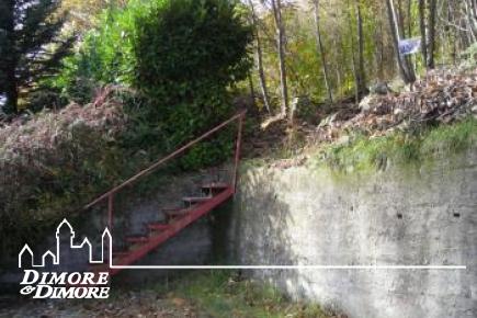 Terreno in vista lago a Miazzina frazione Alpe Pala 