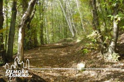 Terreno in vista lago a Miazzina frazione Alpe Pala 