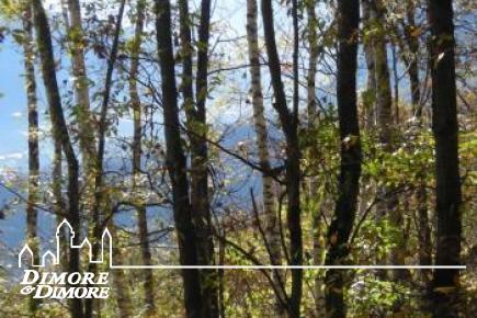 Terreno in vista lago a Miazzina frazione Alpe Pala 