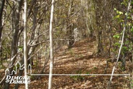 Terreno in vista lago a Miazzina frazione Alpe Pala 