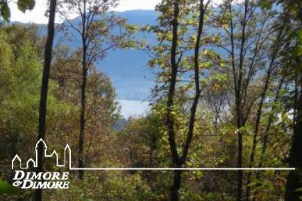 Terreno in vista lago a Miazzina frazione Alpe Pala 